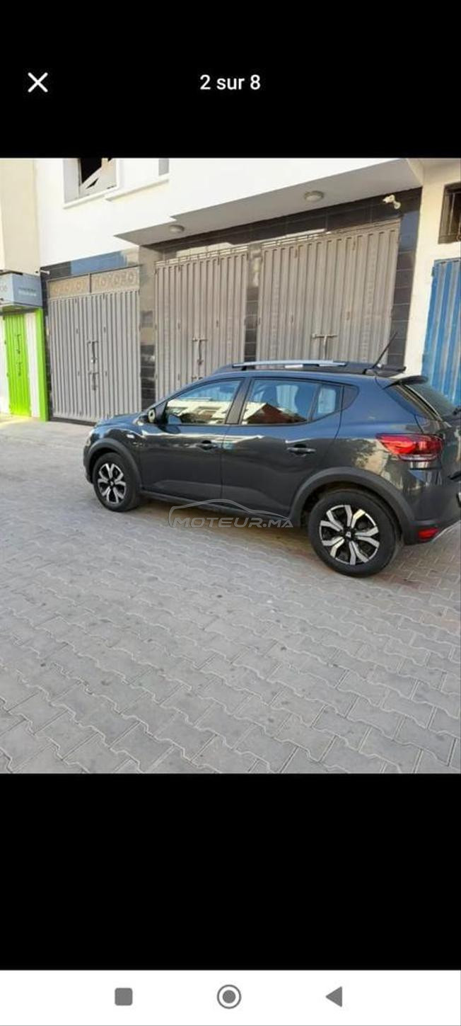 Stewpaw Dacia