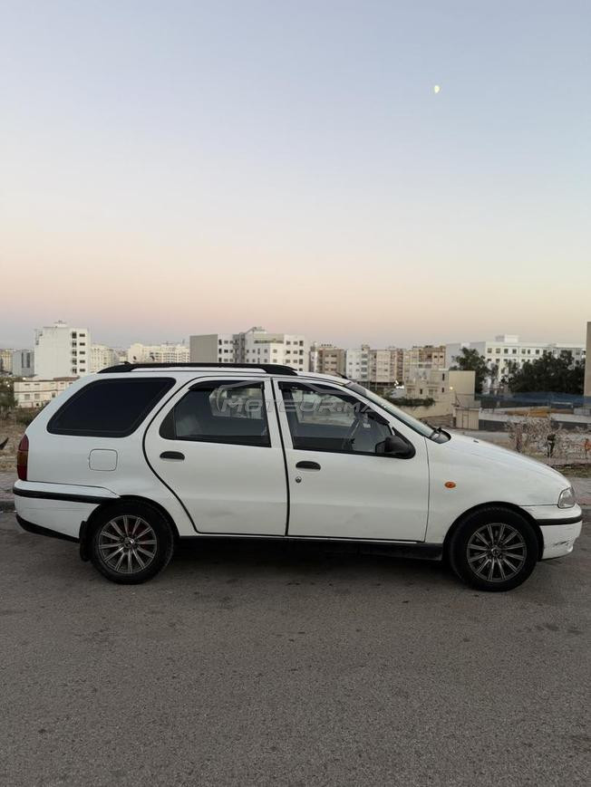 المغرب طنجة كاساباراطا 