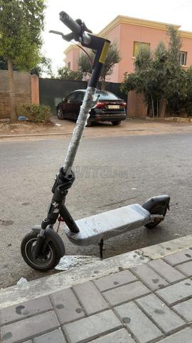 تروتينت. - 2