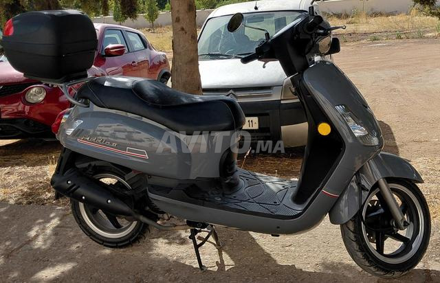 سكوتر SYM 49cc سرعة قانونية حالة جيدة جداً - 2