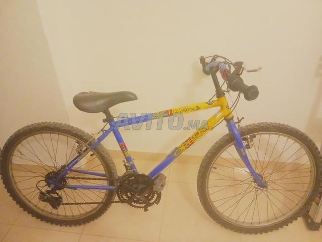Vente de vélo de sport - 2