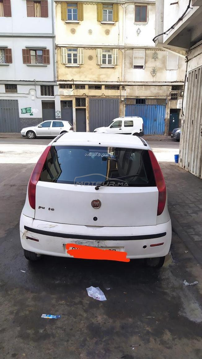 punto classique 2009