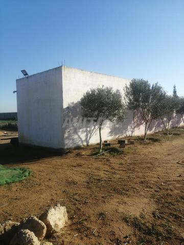 مزرعة للبيع - 2