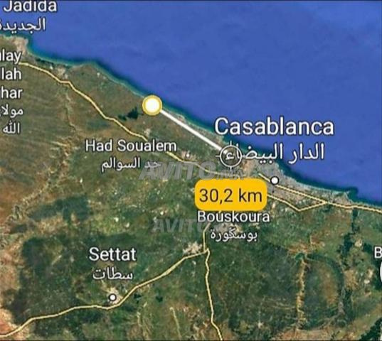 المهارزة الساحل البير جديد - 2