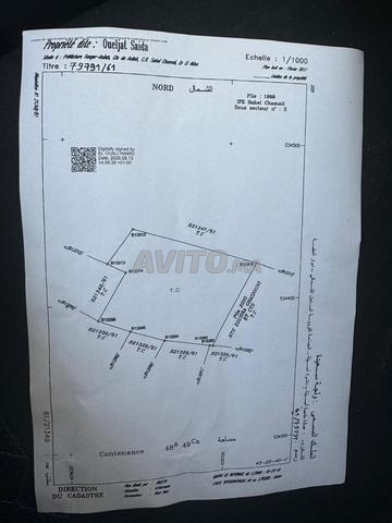 Terrain à vendre pour construire une villa autorisée Asilah Sidi sur la mer - 2