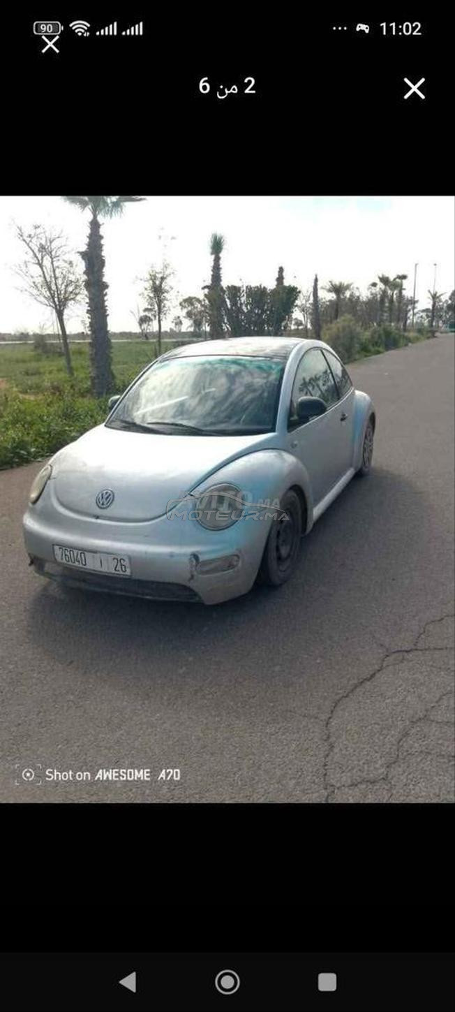 coccinil ww