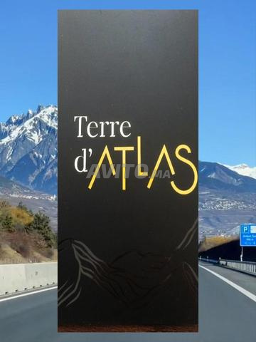 Offre spéciale pour les lots de Villas 3800/M²