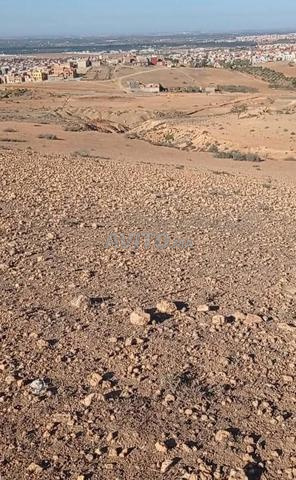 أرض للبيع ببركان معلومة - 2