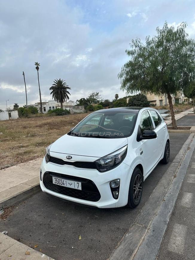 kia picanto lifestyle 