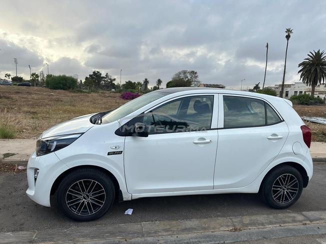 kia picanto lifestyle 