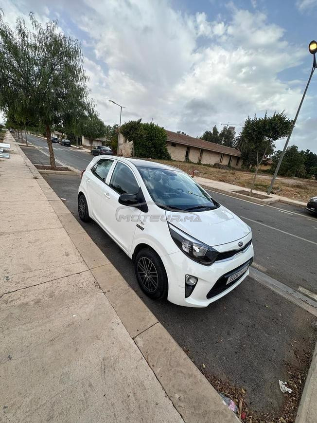kia picanto lifestyle 