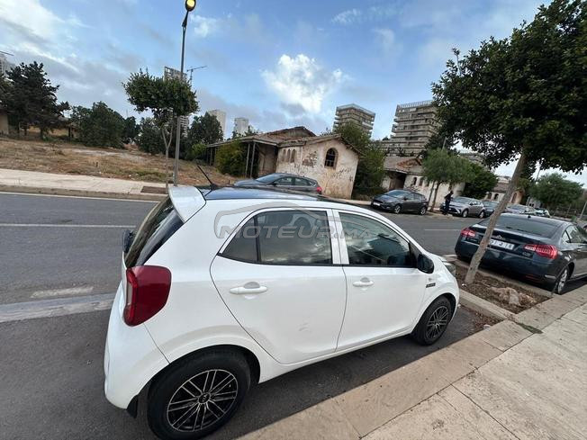 kia picanto lifestyle 