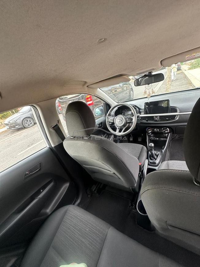 kia picanto lifestyle 