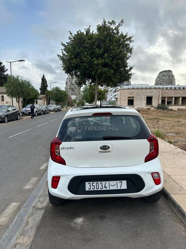 kia picanto lifestyle 