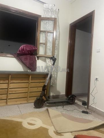 ترونتينات مليحة - 2