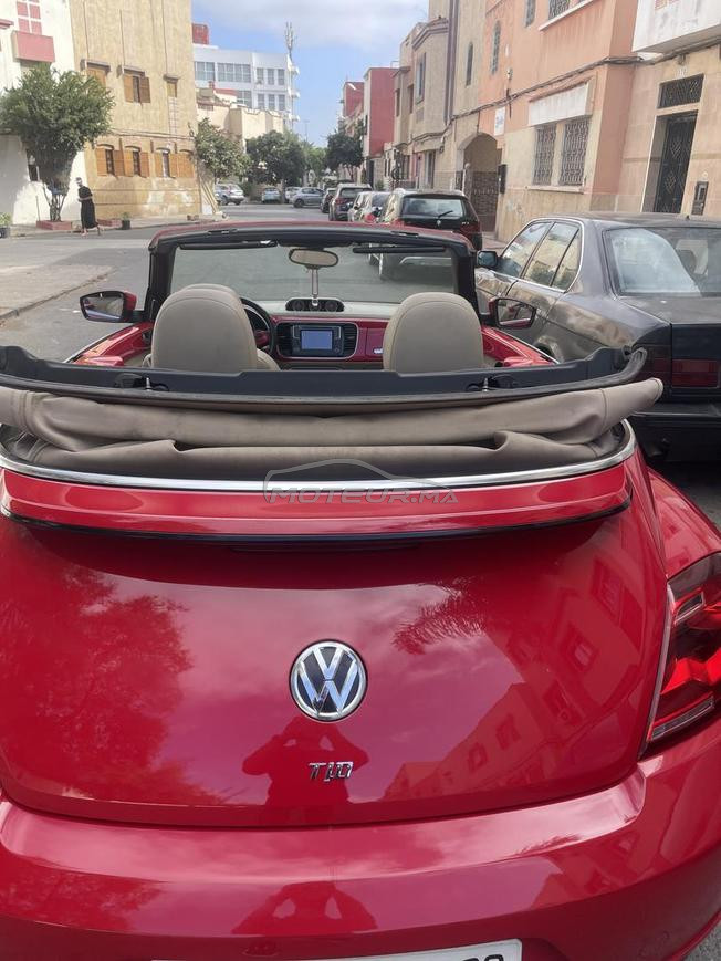 coccinelle diesel 