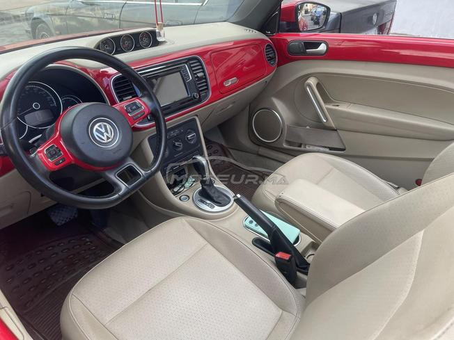 coccinelle diesel 