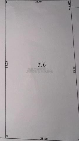 أرض للبيع قرب أرجانا - 2