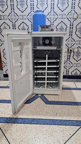 Incubateur neuf automatique - 2