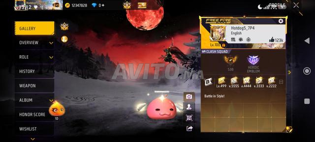 Compte Free Fire puissant - 2