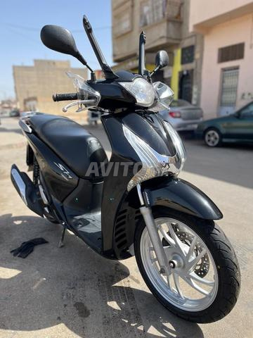 sh robo 150 15/15 sans pur développeur pour celui qui est raisonnable bienvenue