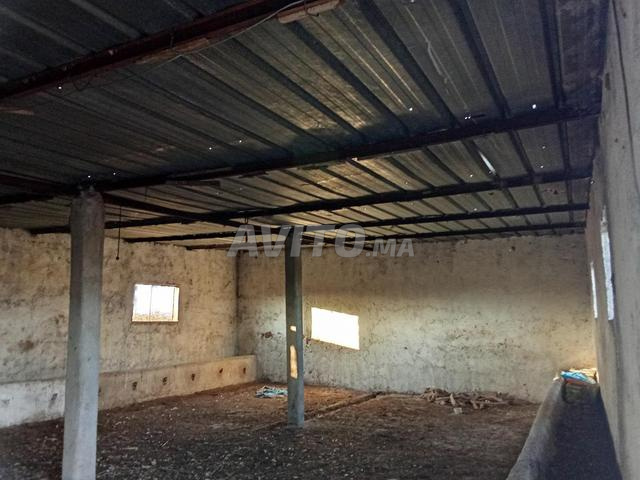 Vente ferme composée d'une maison, deux granges et un garage - 2