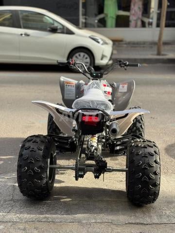 كواد LPR TROOPER 250R 2026