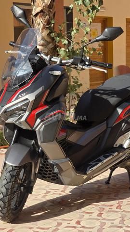 xdv 300cc ..3/2026 encore propre - 2