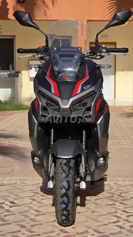 xdv 300cc ..3/2026 encore propre