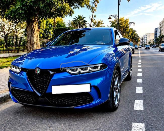 ALFA ROMÉO TONAL HYBRID 1 MAIN 2023 73000 KM