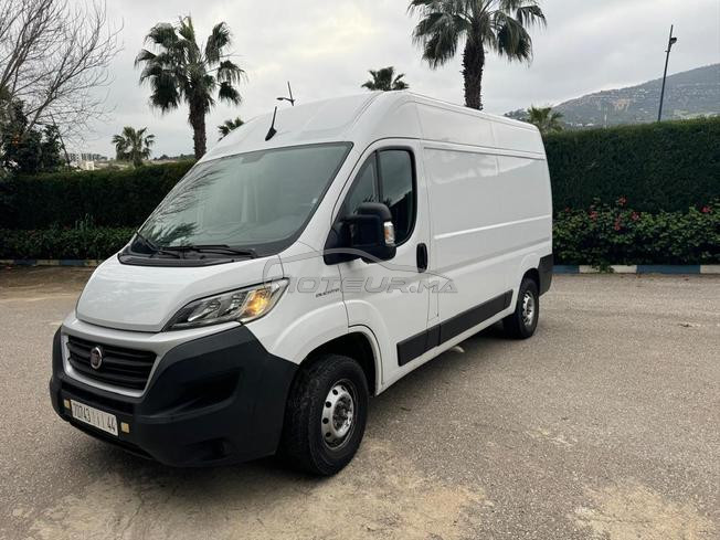 fait ducato