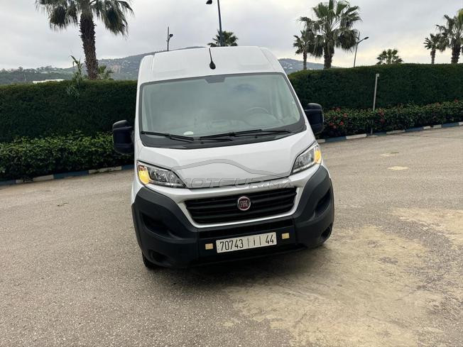 fait ducato