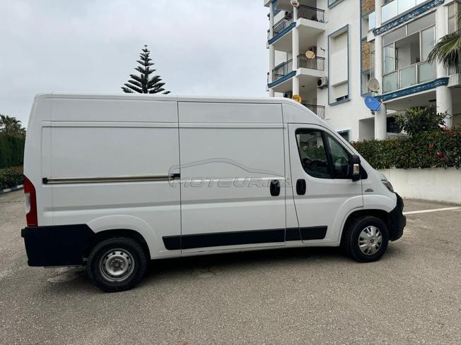 fait ducato