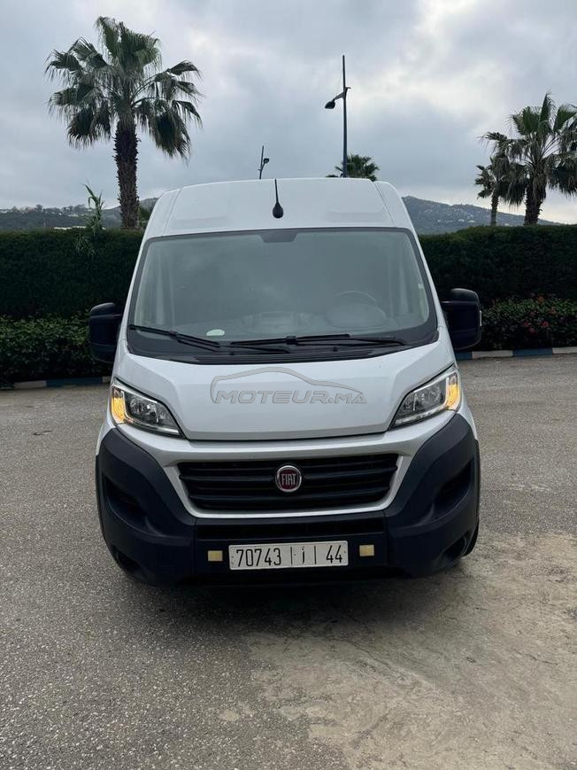 fait ducato