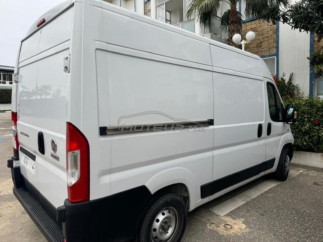 fait ducato