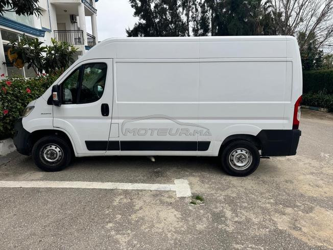 fait ducato