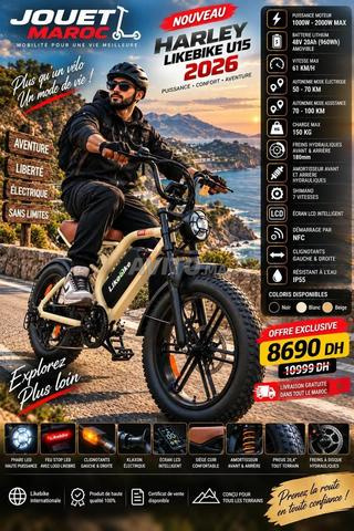 Vélo électrique de livraison à Tanger, bienvenue - 2