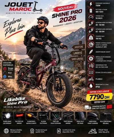 Vélo électrique - 2