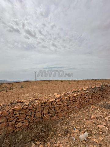 Terrain agricole - 2