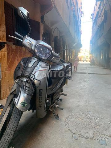 xcccmoto - 2