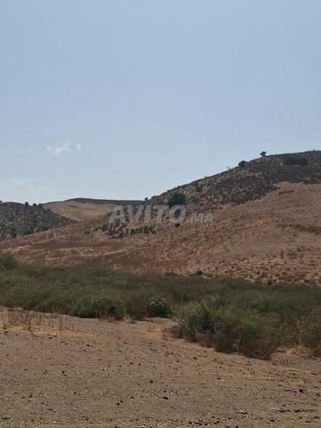 🔥 14.5 Hectares... à seulement 6 millions de centimes par hectare - 2