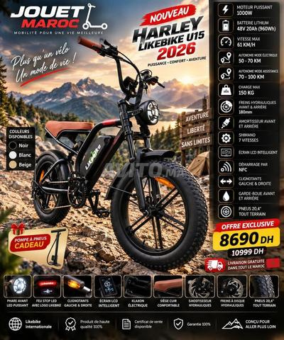 VÉLO ÉLECTRIQUE HARLEY LIKEBIKE U15 - 2