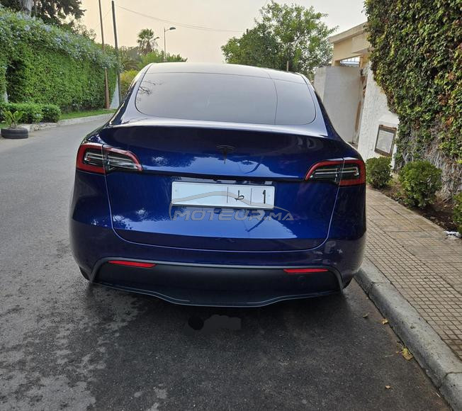 Tesla model Y Parfait état 