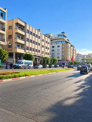 Bel appartement magnifique et en très bon état à louer