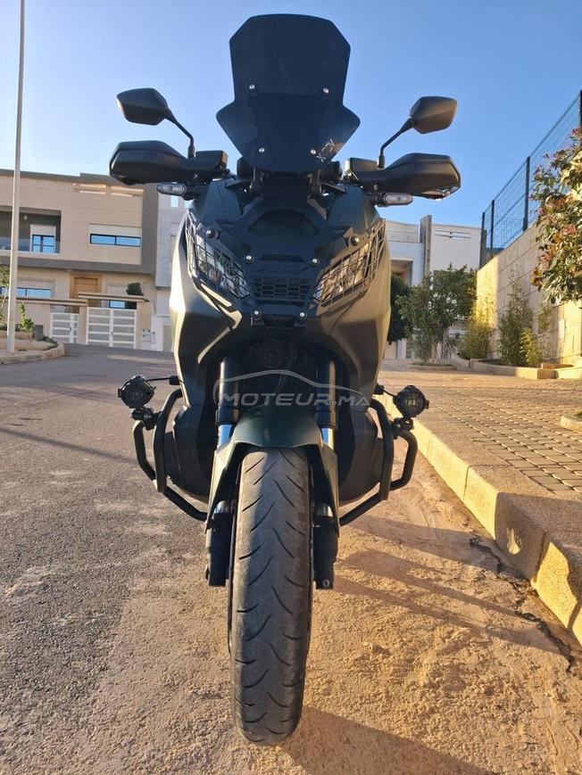 diwana 2025 modele 2021