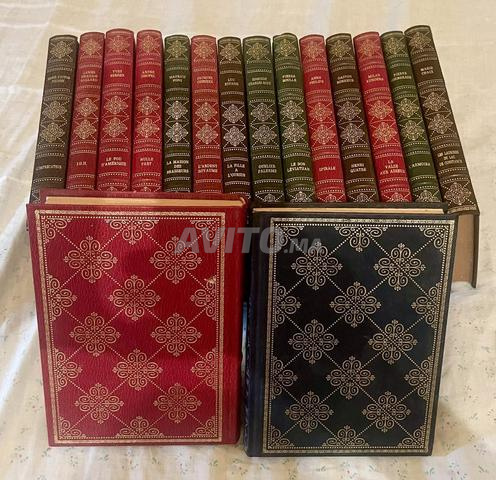 Lot 16 livres cuir Dorures -déco bibliothèque