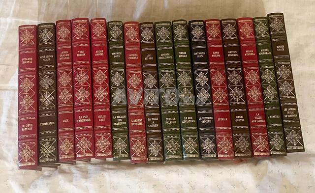 Lot 16 livres cuir Dorures -déco bibliothèque - 2