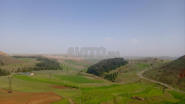 terrain agricole de superficie 1.5 ha - 2