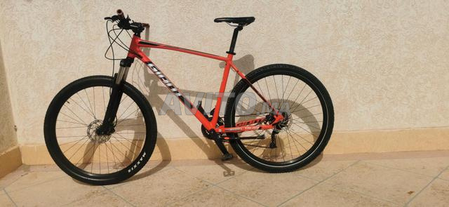 Vélo Giant Talon 29 pouces