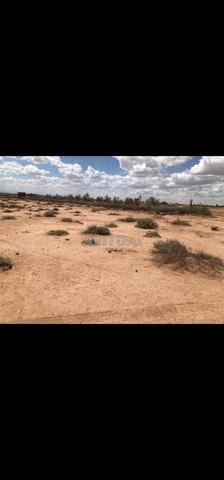 🌿 Terrain à vendre près de Marrakech avec vue sur l'Atlas 🌿 - 2
